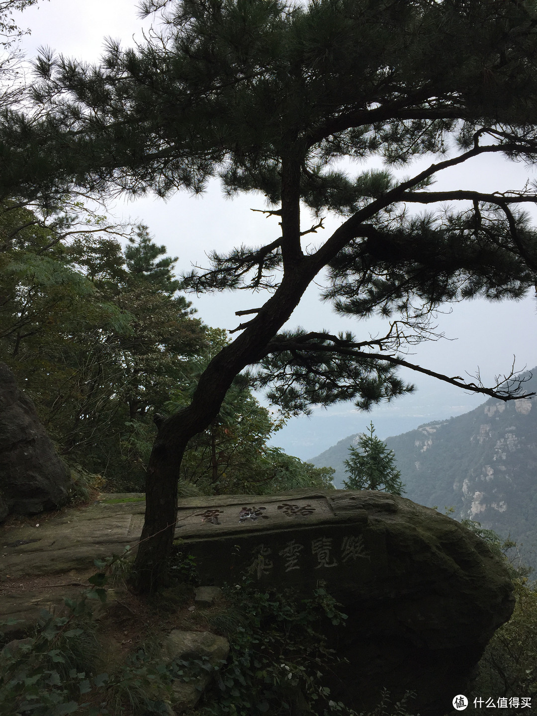 #拒绝人挤人# 山南水北好风光-庐山&三清山