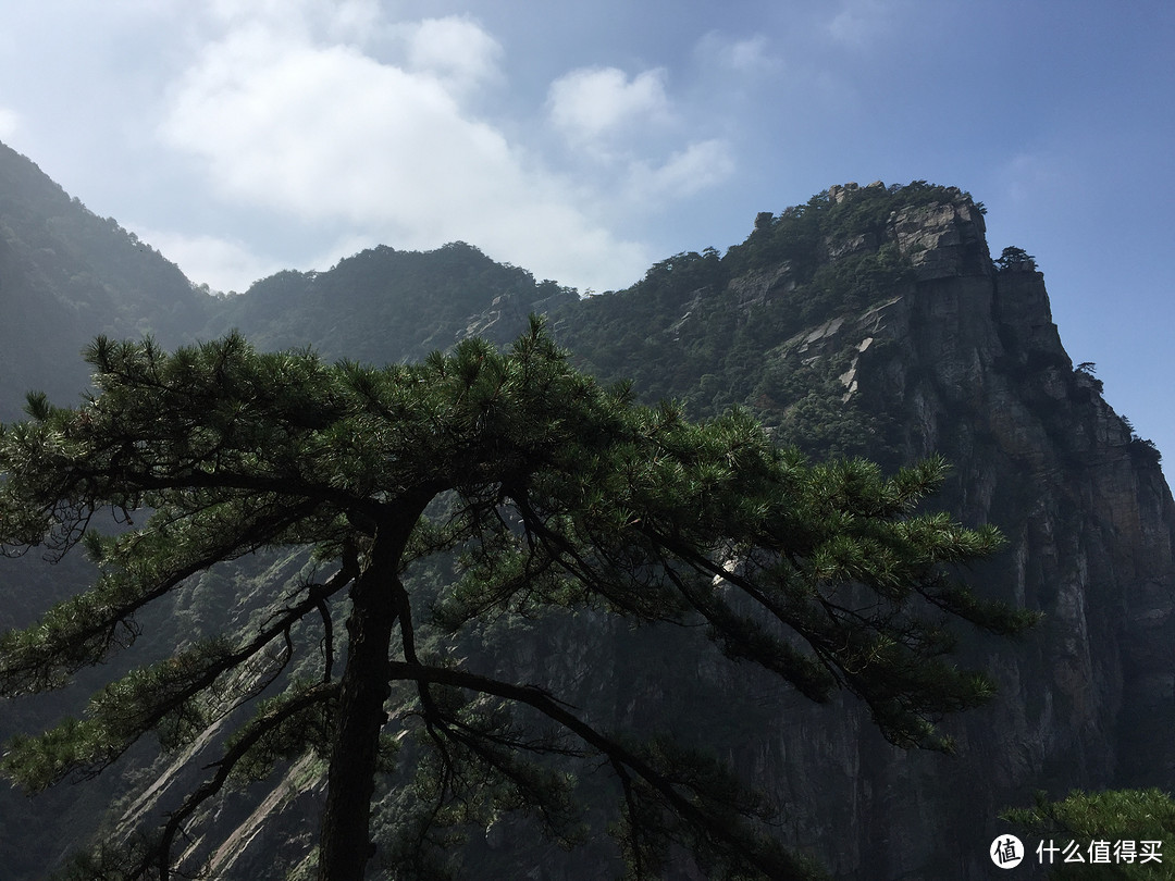 #拒绝人挤人# 山南水北好风光-庐山&三清山