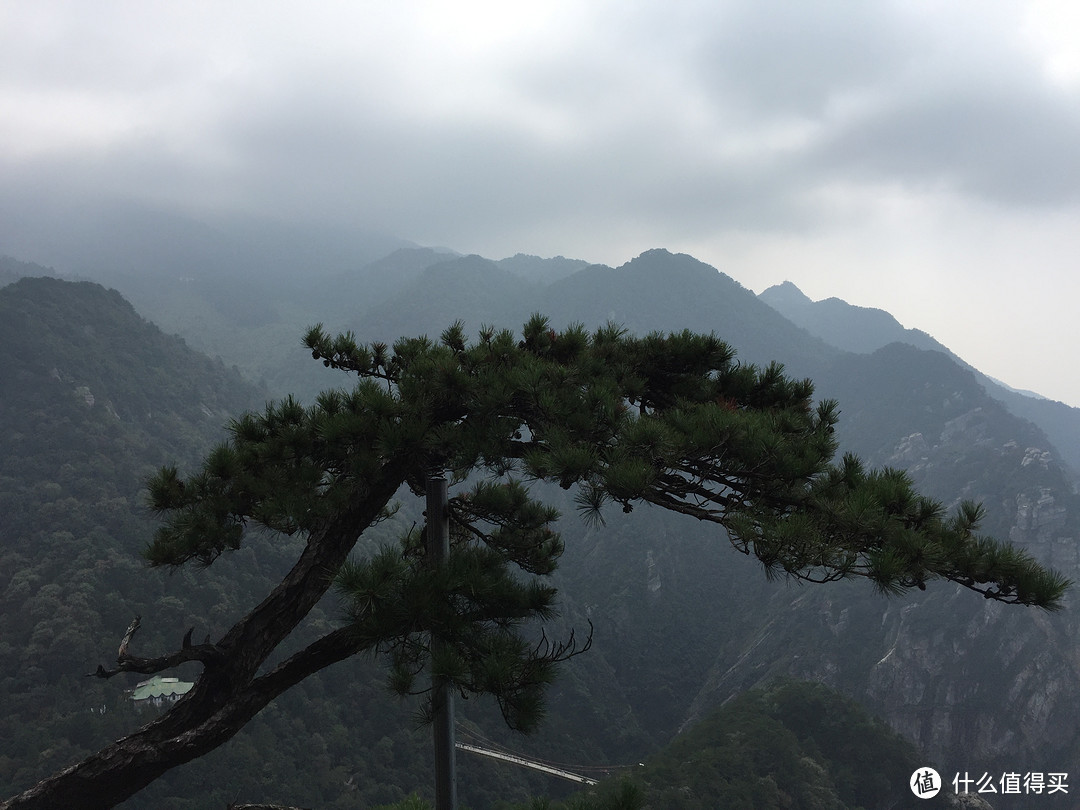 #拒绝人挤人# 山南水北好风光-庐山&三清山