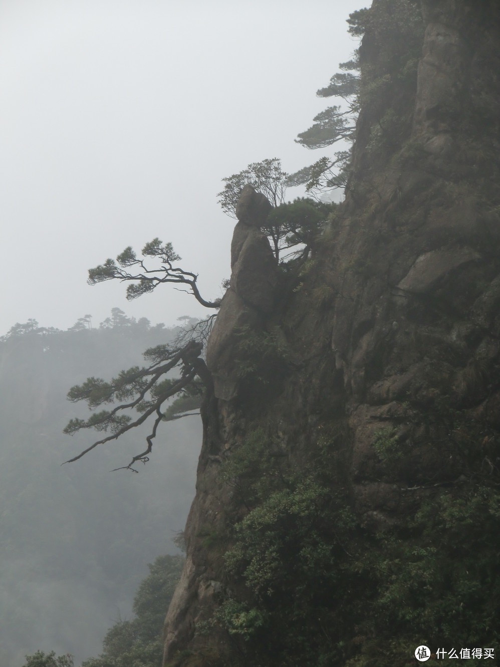 #拒绝人挤人# 山南水北好风光-庐山&三清山