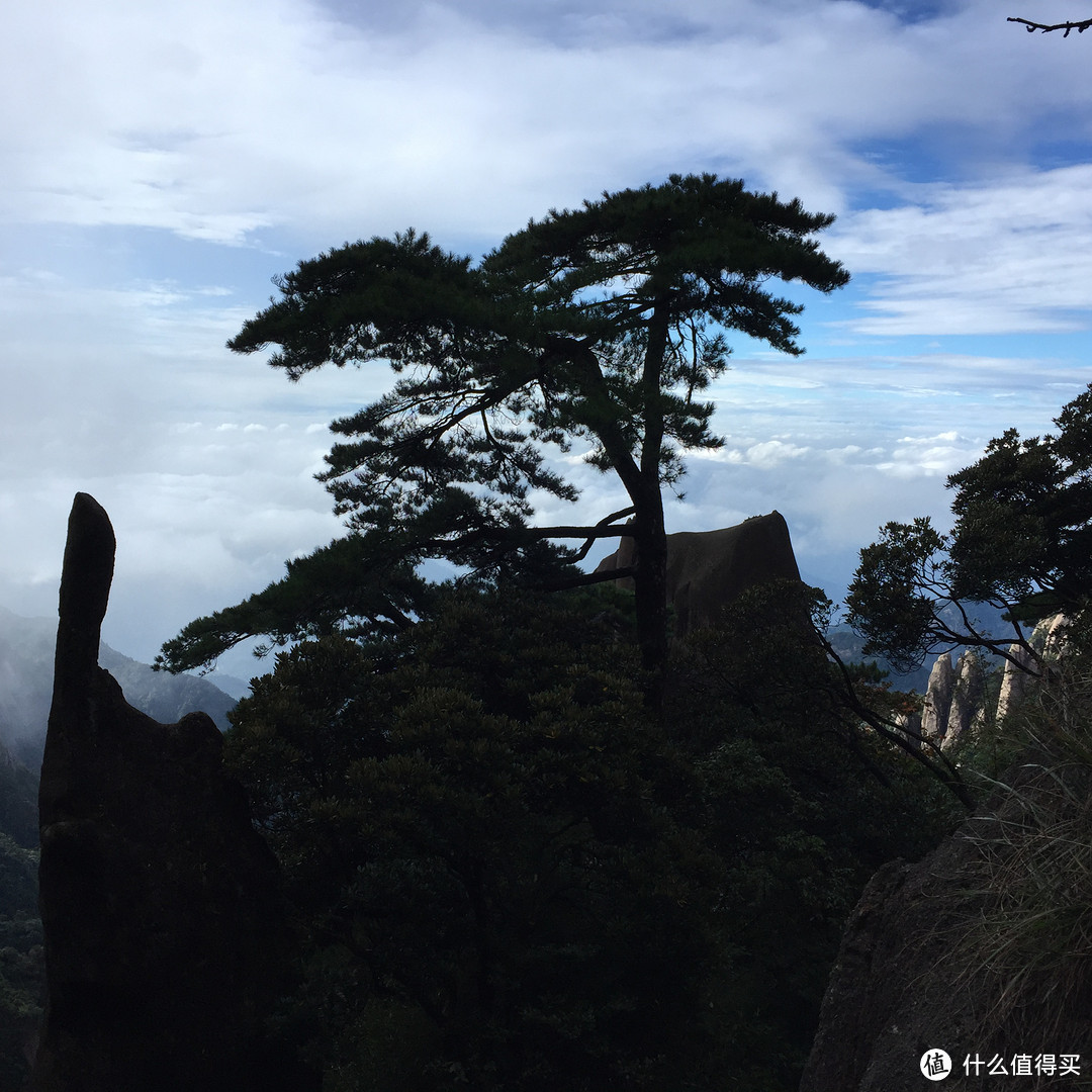 #拒绝人挤人# 山南水北好风光-庐山&三清山