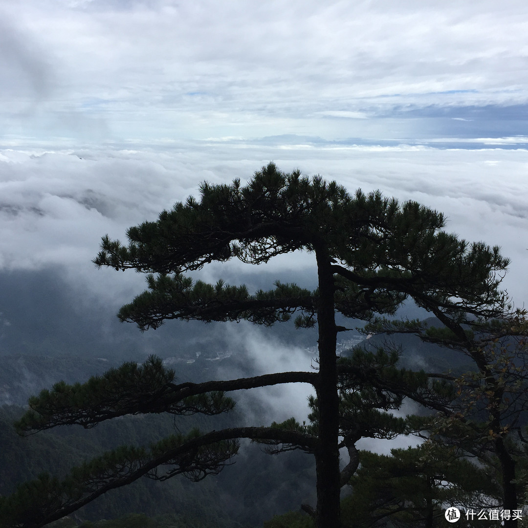 #拒绝人挤人# 山南水北好风光-庐山&三清山