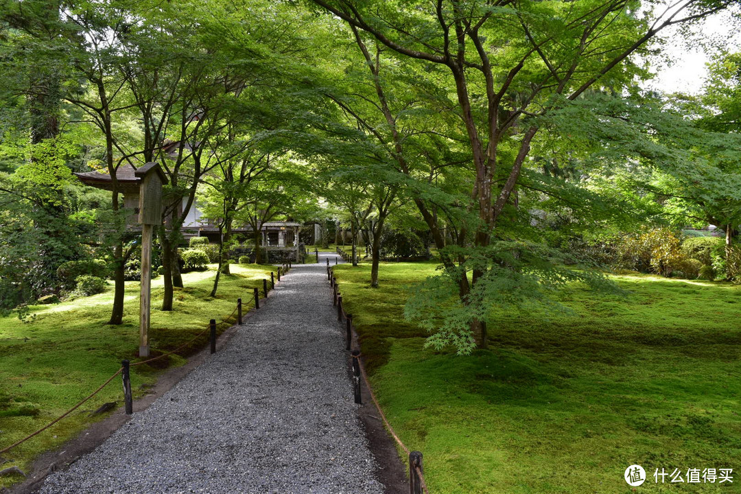 三千院庭院