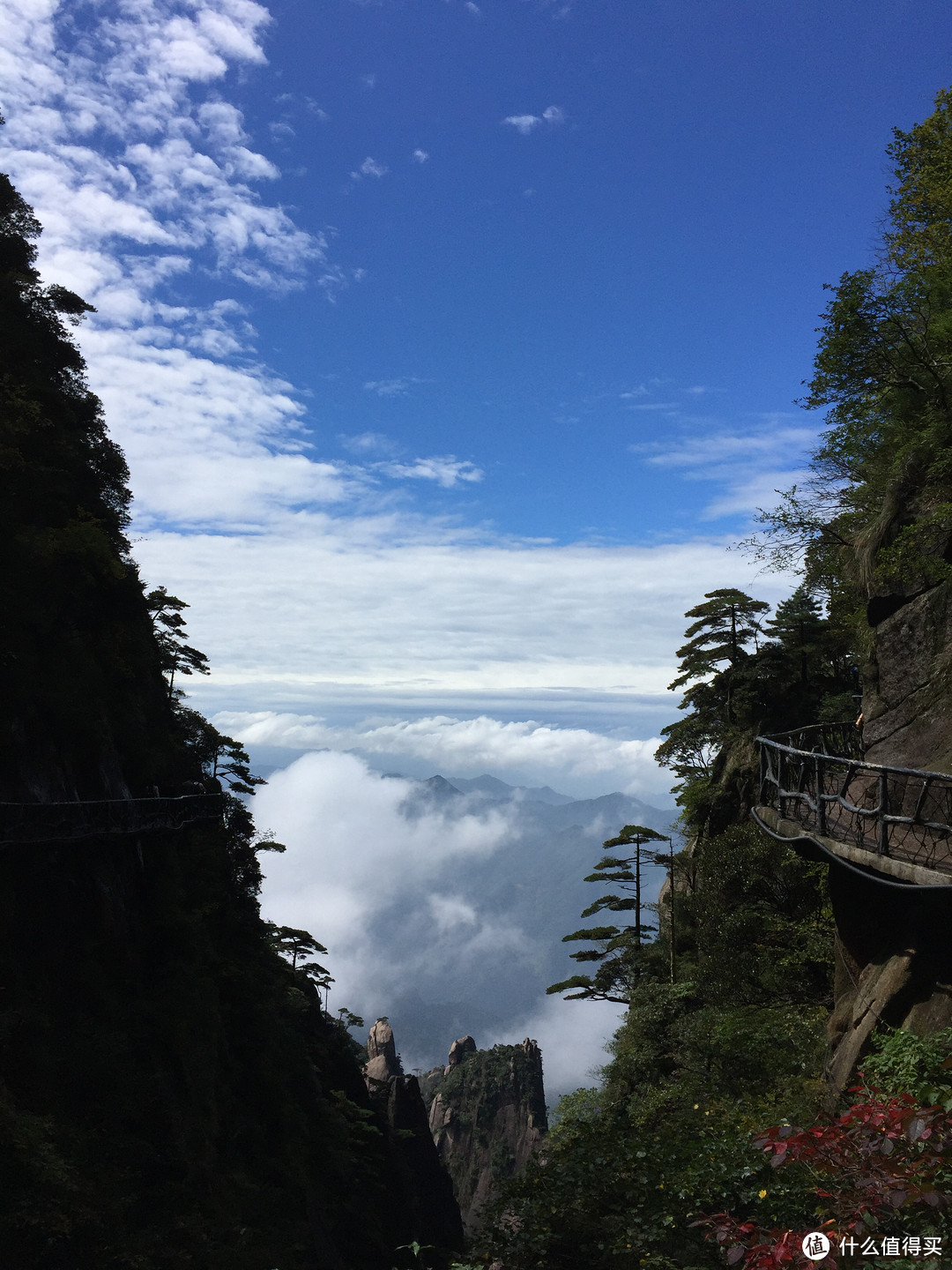 #拒绝人挤人# 山南水北好风光-庐山&三清山