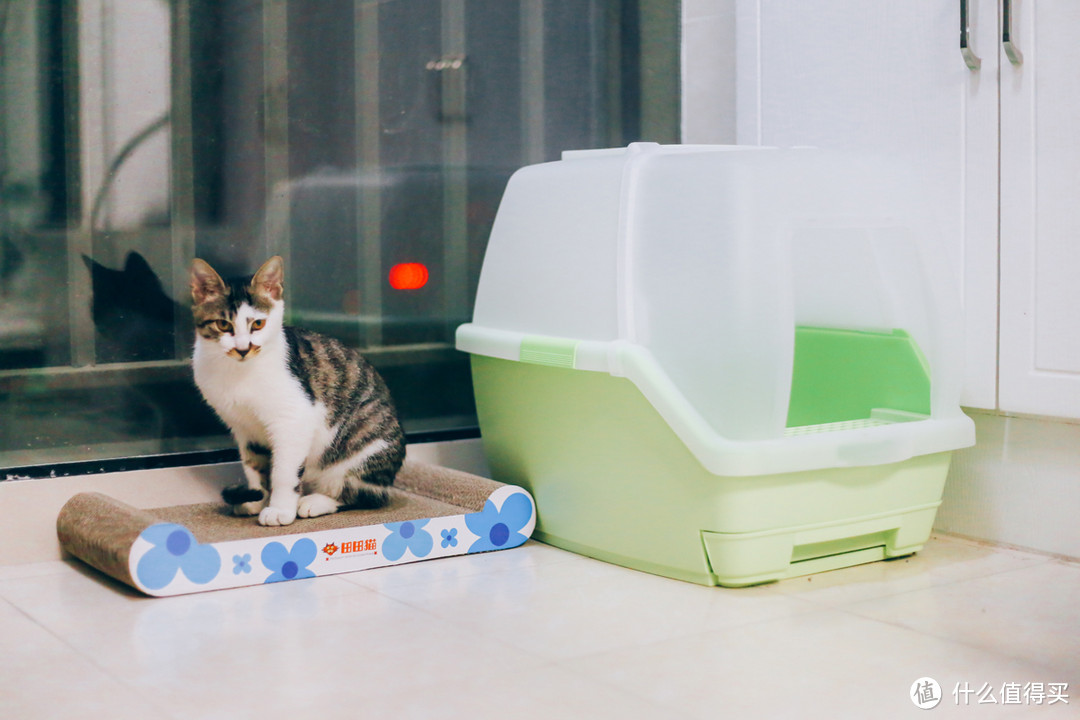 为了捡来的猫主子：IRIS 爱丽思 TIO-530FT 双层猫厕所开箱