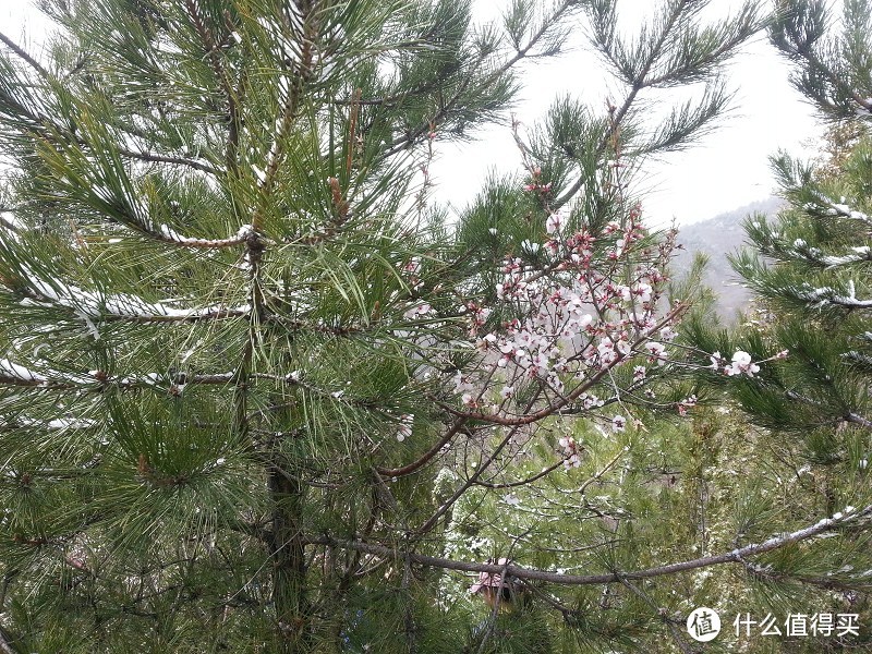 游遍山西-绵山篇：车在悬崖，人在空中。水在流动，人在水后