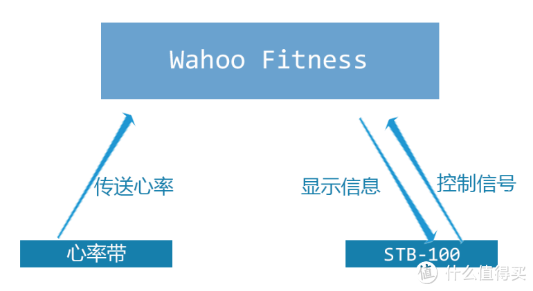 DECATHLON 迪卡侬 屌丝心率带 搭配 卡西欧 STB-100 显示实时心率