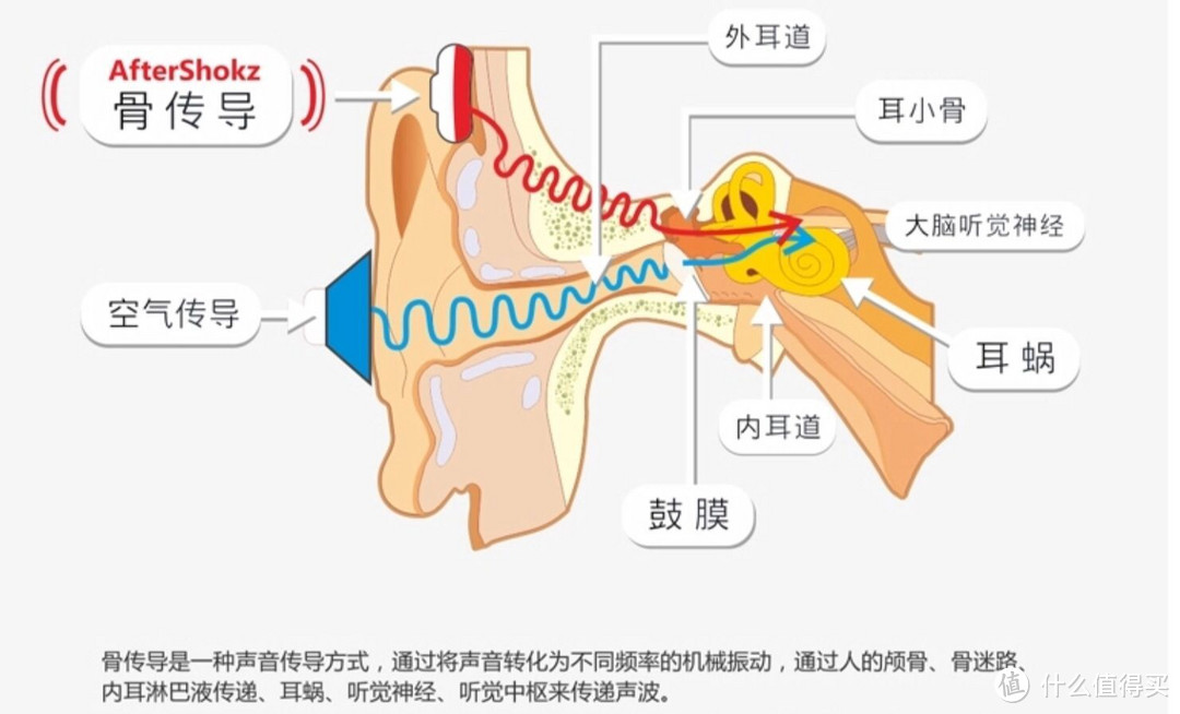 入门级骨传导——傲石睿途骨传导耳机测评