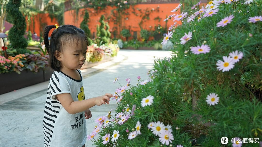 赏花小姑娘