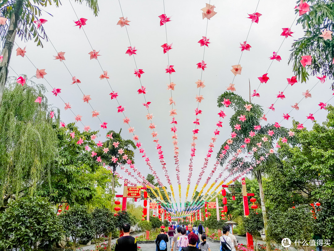 我的第一次半程马拉松记录（水富国际半程马拉松+西部大峡谷温泉）