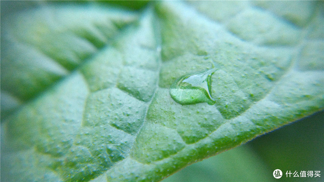 手机拍照，多一点特效——图拉斯 手机镜头 开箱