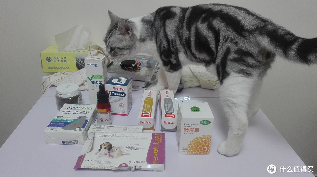 #一周热征#宠物用品#猫猫补品药品推荐