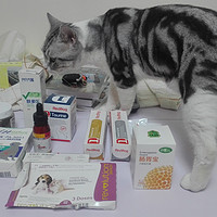 科学养好喵 篇五：#一周热征#宠物用品#猫猫补品药品推荐