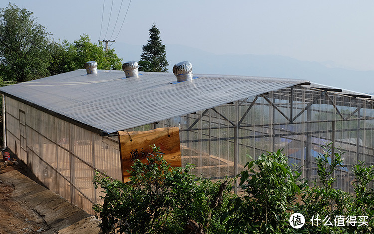 茶山上新建的用于干燥茶叶的晒棚