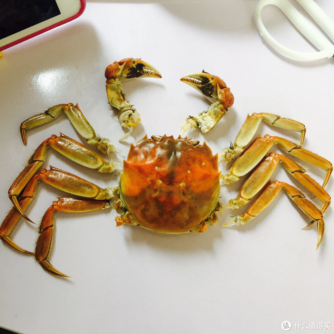 蟹蟹这么可爱怎么可以吃蟹蟹——阳澄湖大闸蟹伪开箱以及吃蟹指南