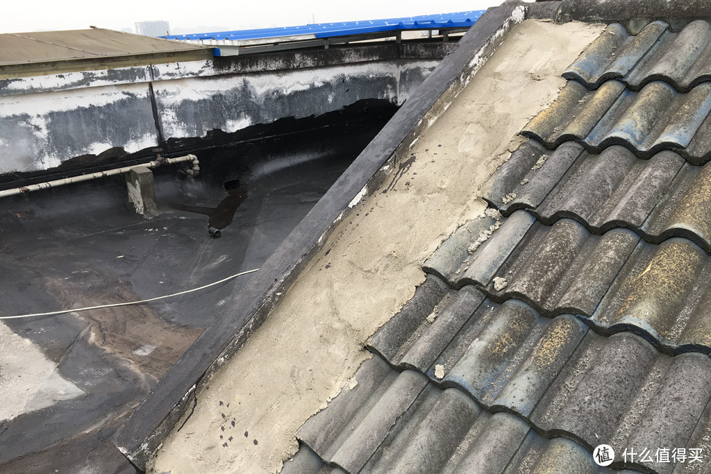 为种多肉换套房，屋顶防水维修全纪录