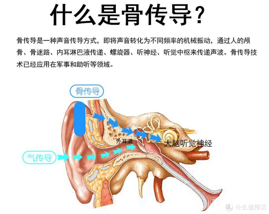 本图来自官网