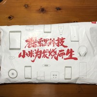 小米移动电源外观设计(接口|指示灯|优点|缺点)