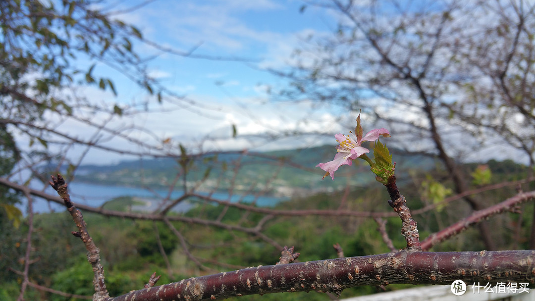 接下来我要失联几天：皇家加勒比海洋量子号上海-熊本5天4夜流水账