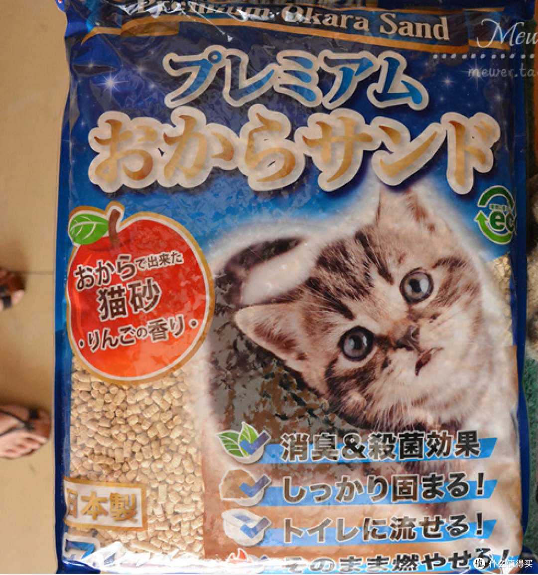 #一周热征#宠物用品# 养猫基础物件