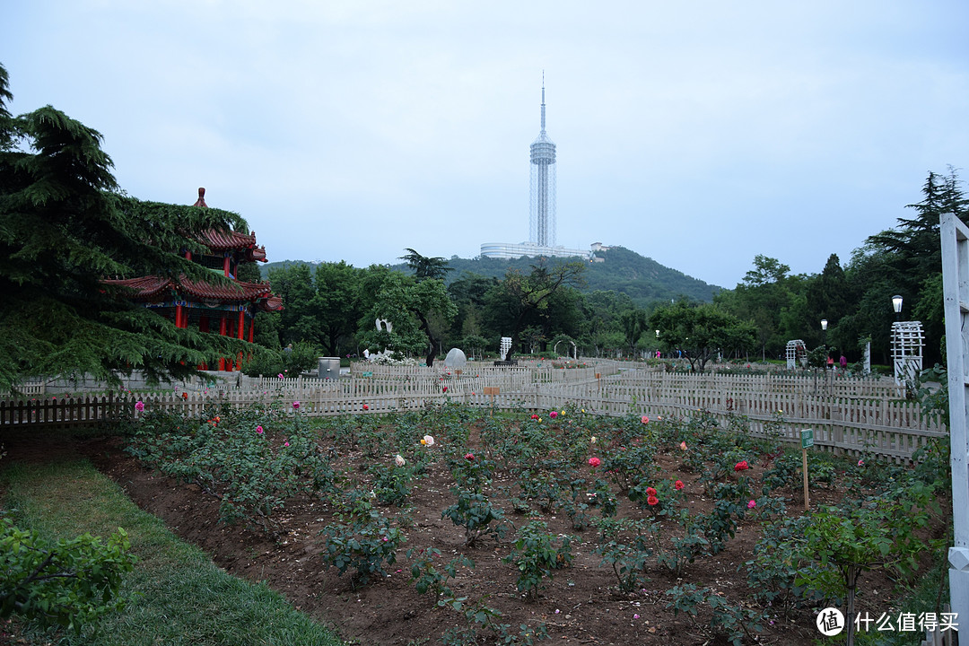 浪漫之都---大连6天5夜随性自由行