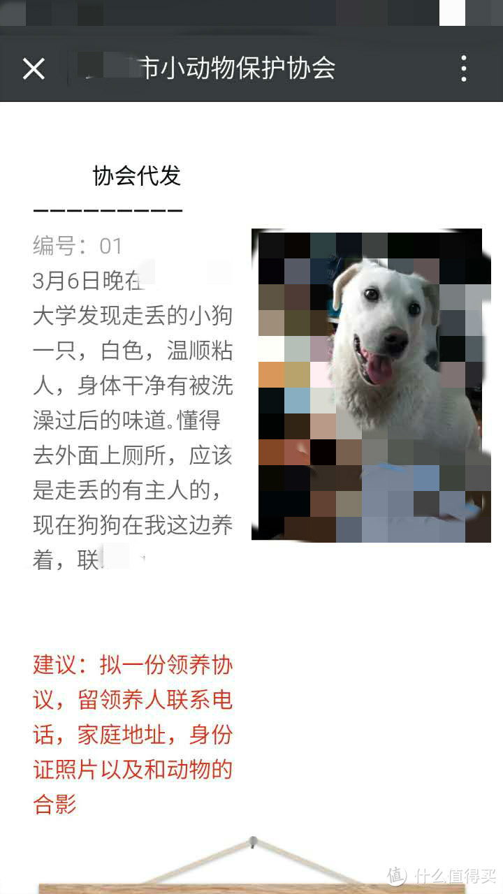 你这狗啥品种啊？蜜汁笑容：中华田园犬