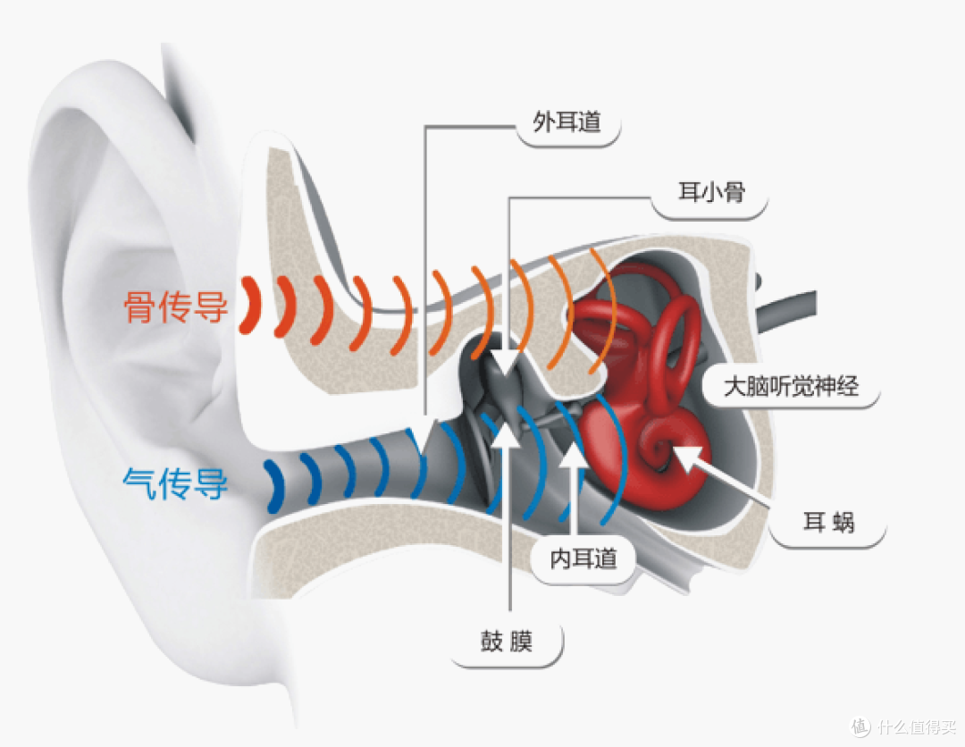 新技术新感受——傲石智能骨传导蓝牙运动耳机体验报告
