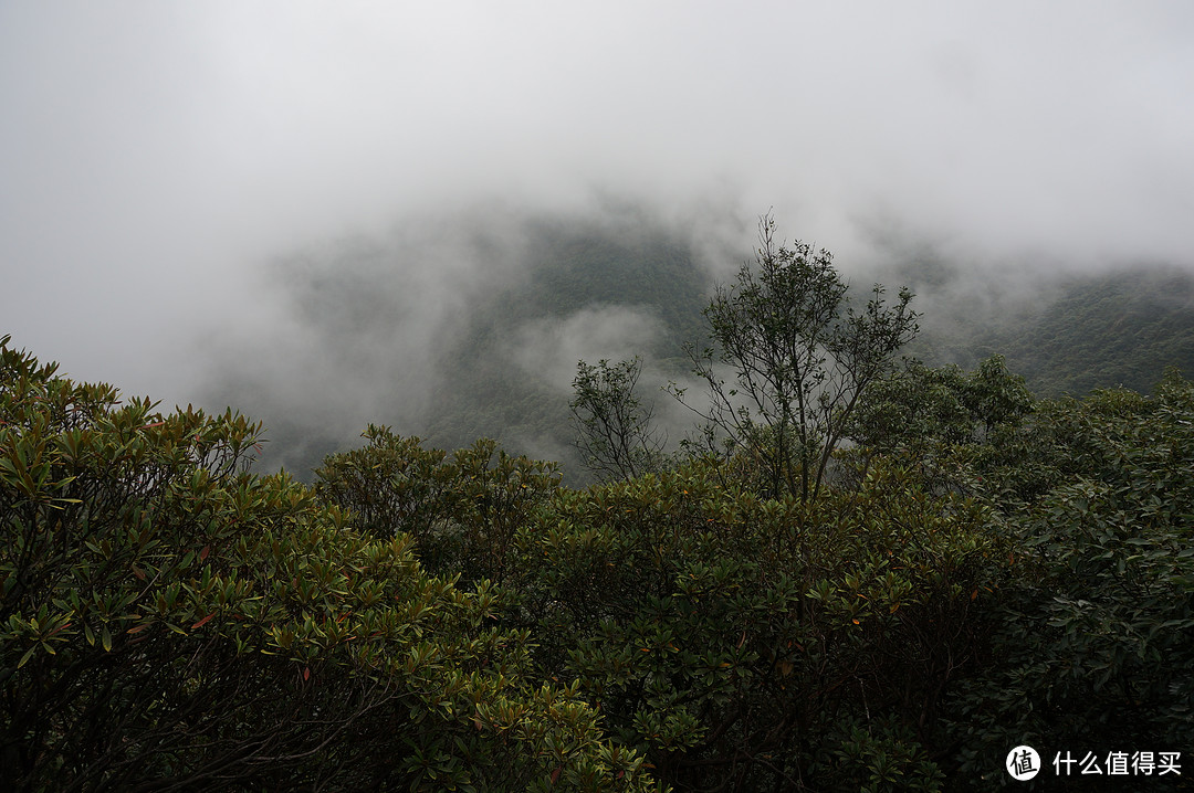 云中漫步三清山，峰林奇观花岗岩