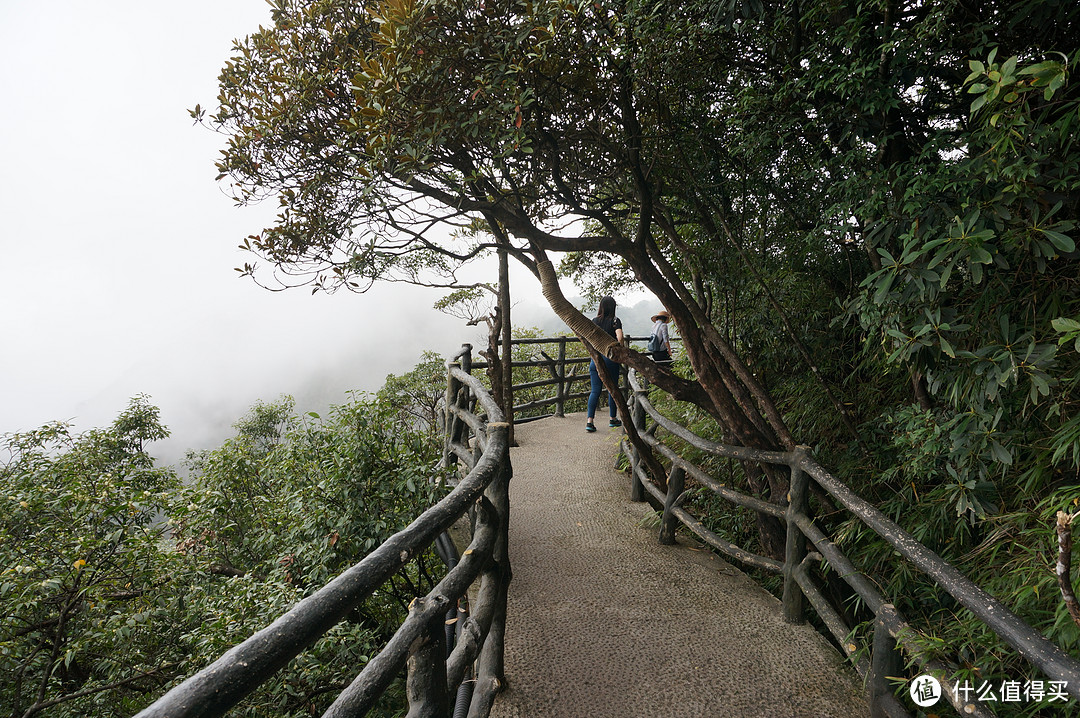 云中漫步三清山，峰林奇观花岗岩