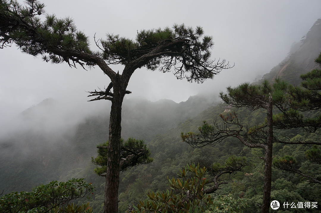 云中漫步三清山，峰林奇观花岗岩