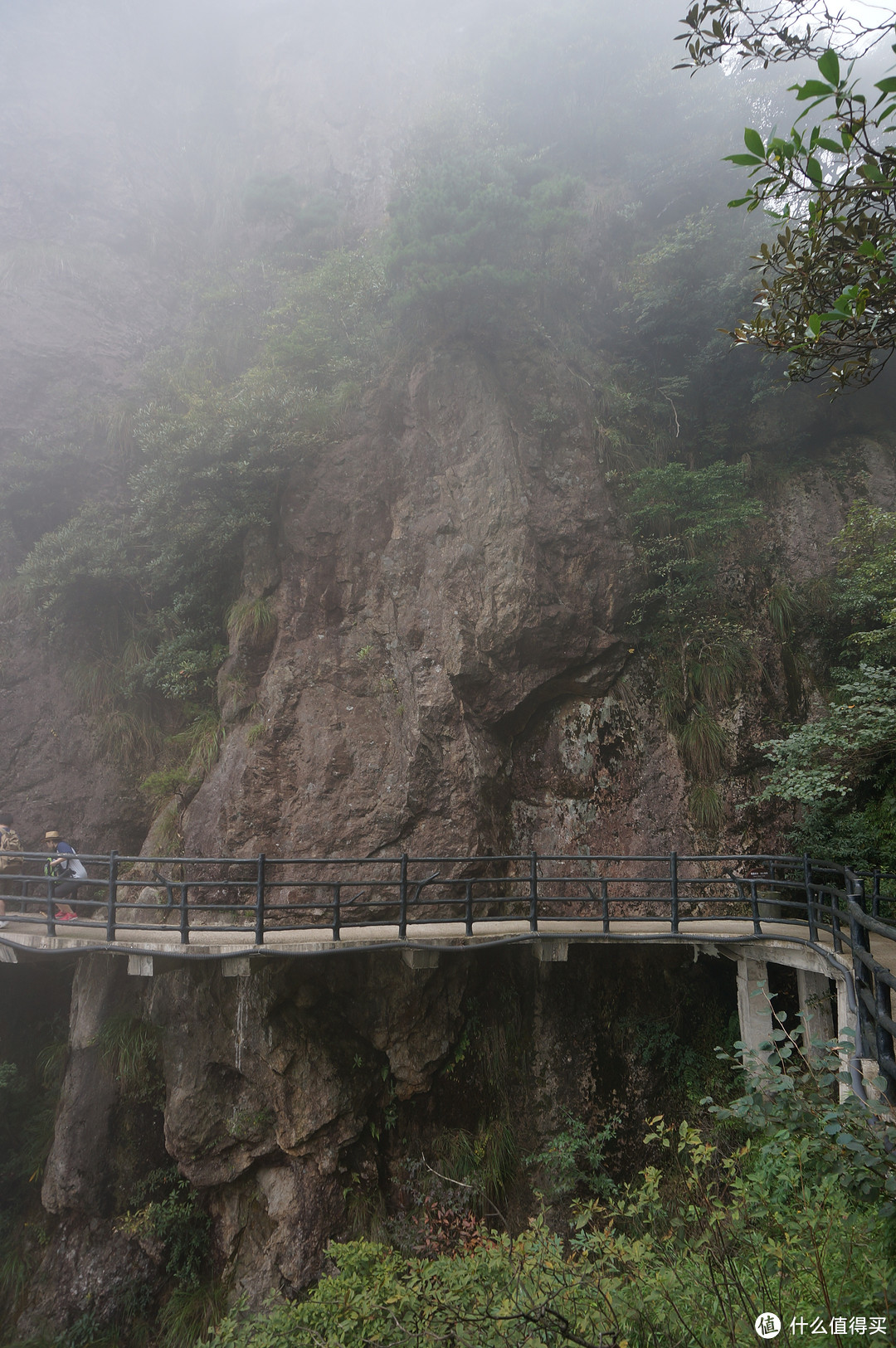 云中漫步三清山，峰林奇观花岗岩