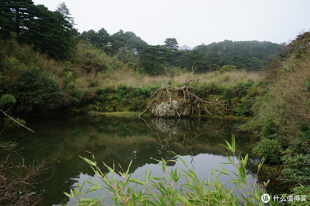 云中漫步三清山，峰林奇观花岗岩