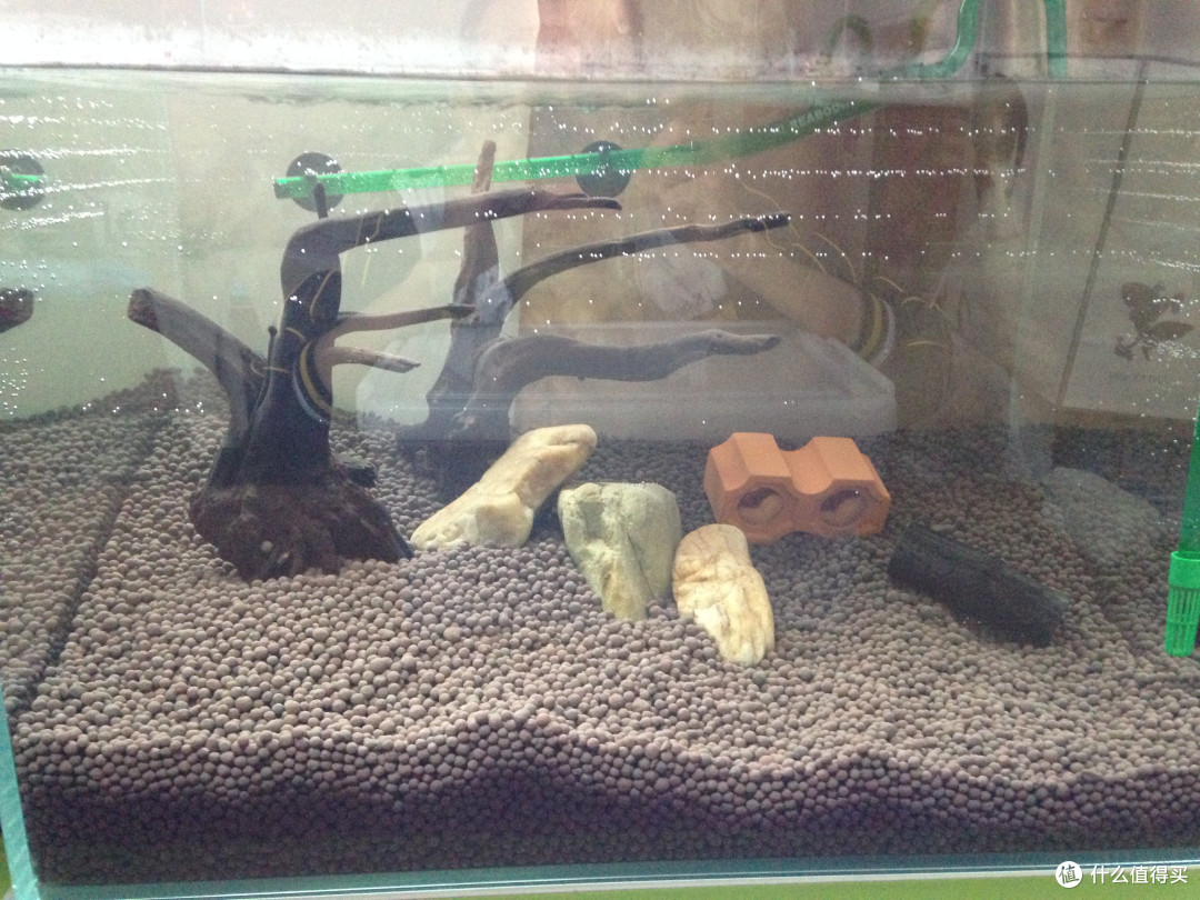 自制简易陶粒水草鱼缸 60的水草缸大约要花多少钱 什么值得买