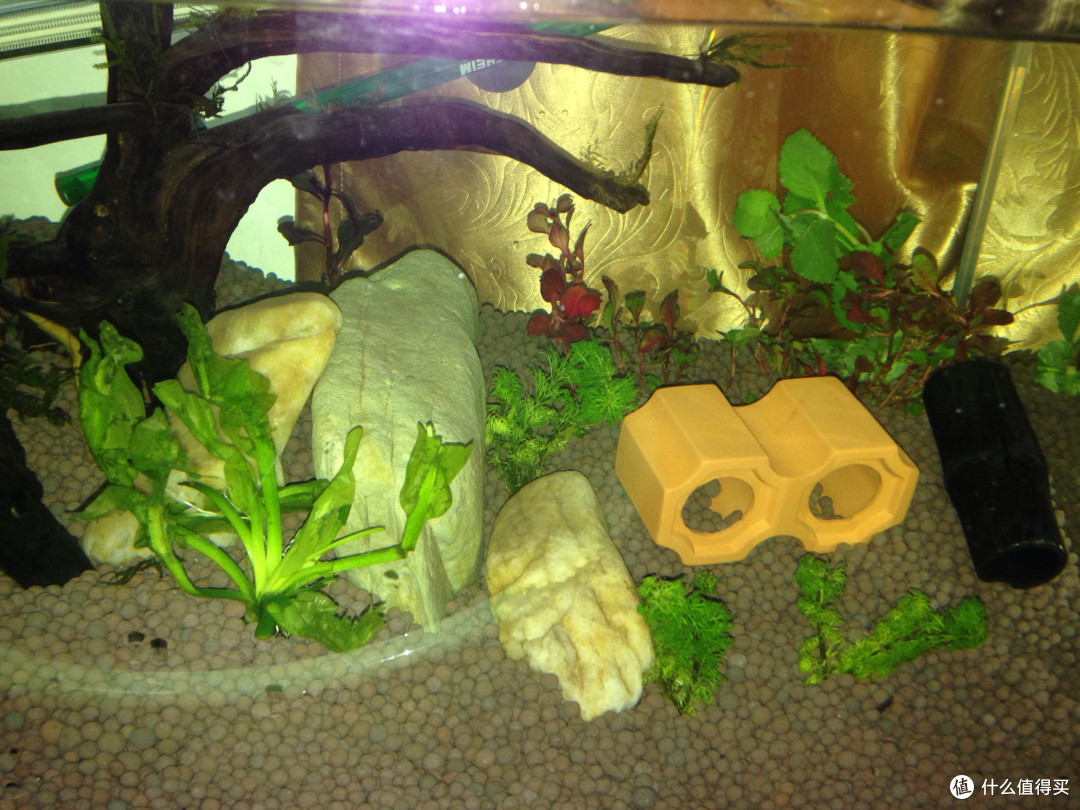 自制简易陶粒水草鱼缸 60的水草缸大约要花多少钱 什么值得买