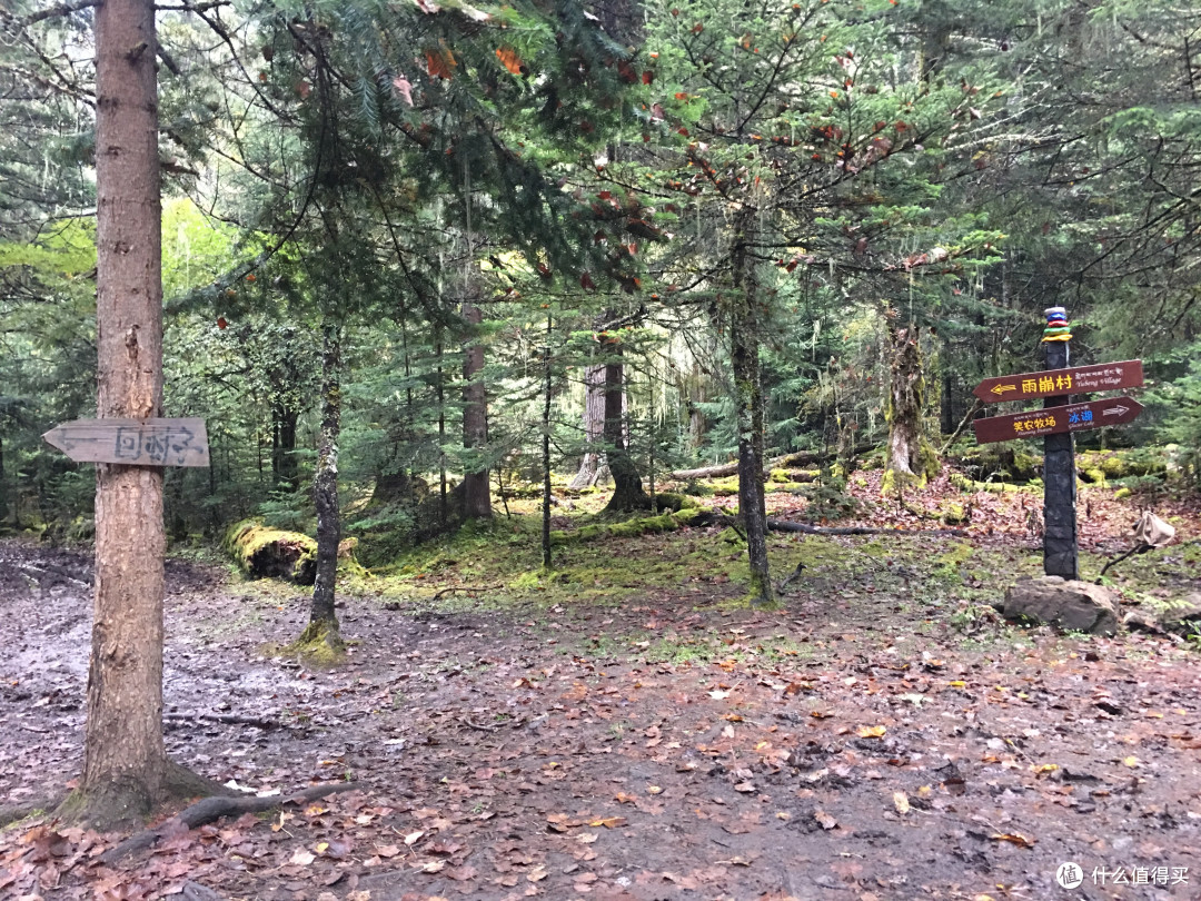 越过山丘,行走在云端——雨崩徒步行记