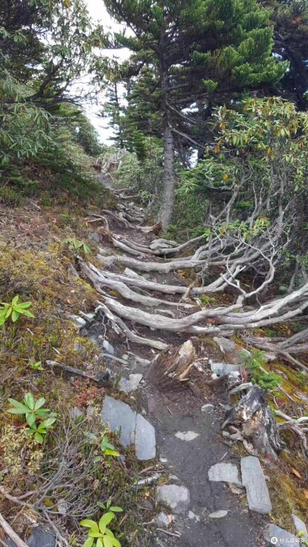 越过山丘,行走在云端——雨崩徒步行记