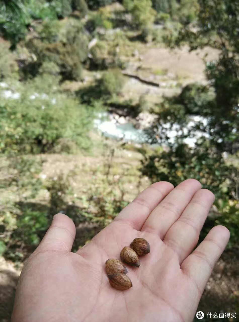 越过山丘，行走在云端——雨崩徒步行记