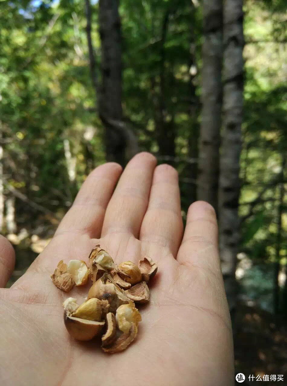 越过山丘，行走在云端——雨崩徒步行记