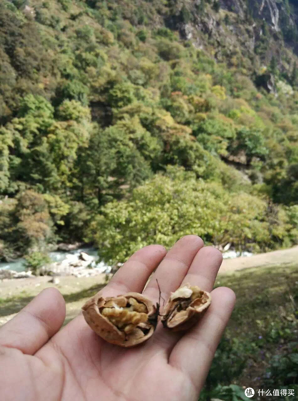 越过山丘，行走在云端——雨崩徒步行记