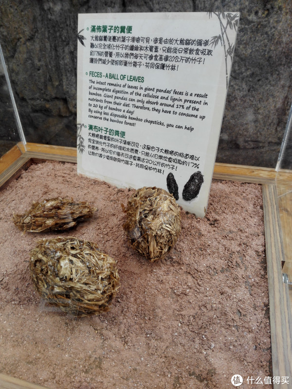 大熊猫的粪便