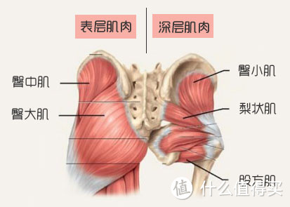 这个美臀计划，你值得拥有！