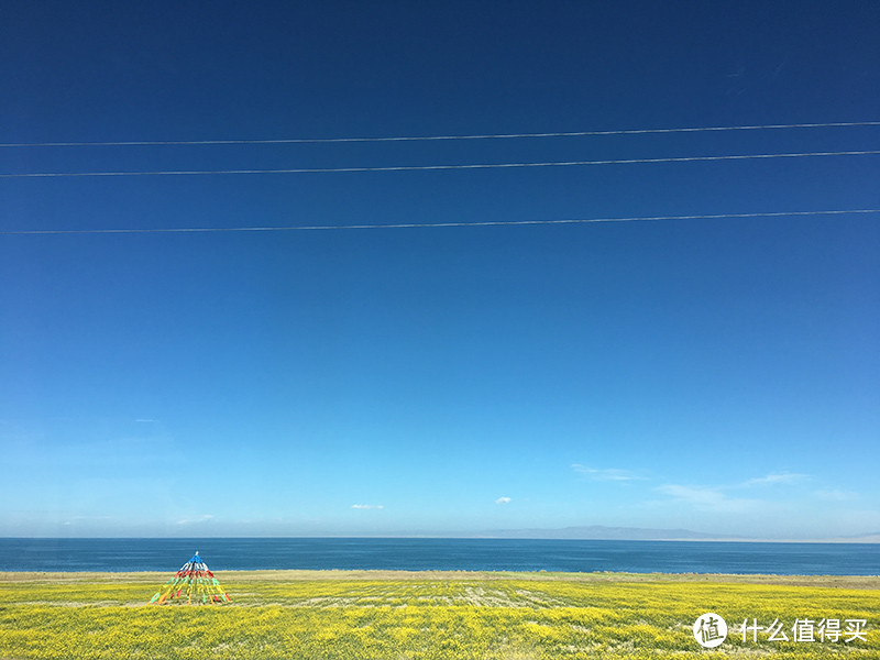 青海湖与菜花