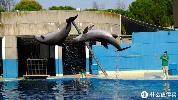 富士 XT2 无反相机开箱 & 使用感受