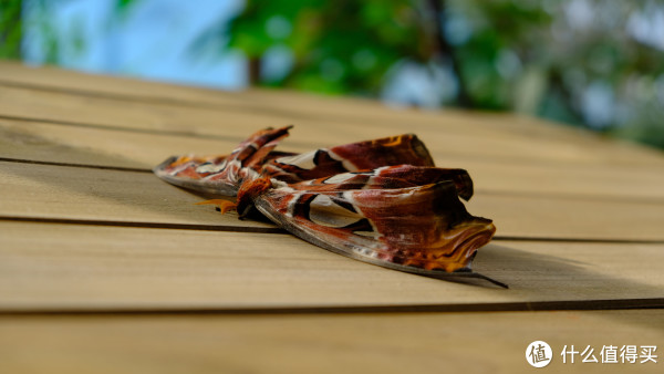 富士 XT2 无反相机开箱 & 使用感受