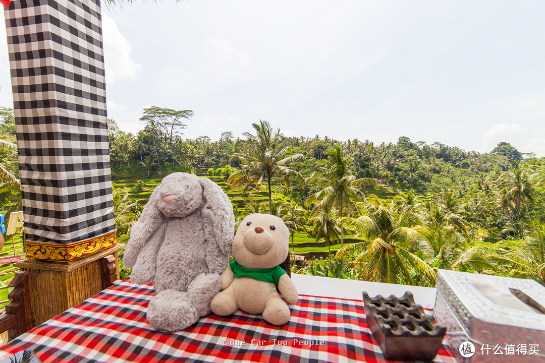 Rice Terrace