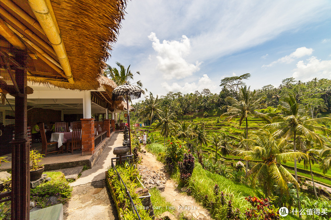 Rice Terrace