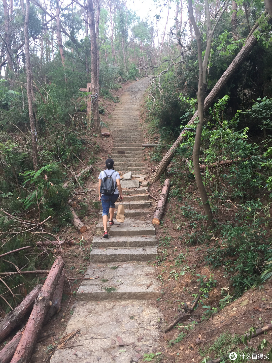 吃货的厦门之旅：亲测适合东北人口味的厦门小吃（多图慎入）