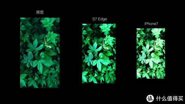 善生来撩机 篇一:七之对决-iPhone7 & S7 edg