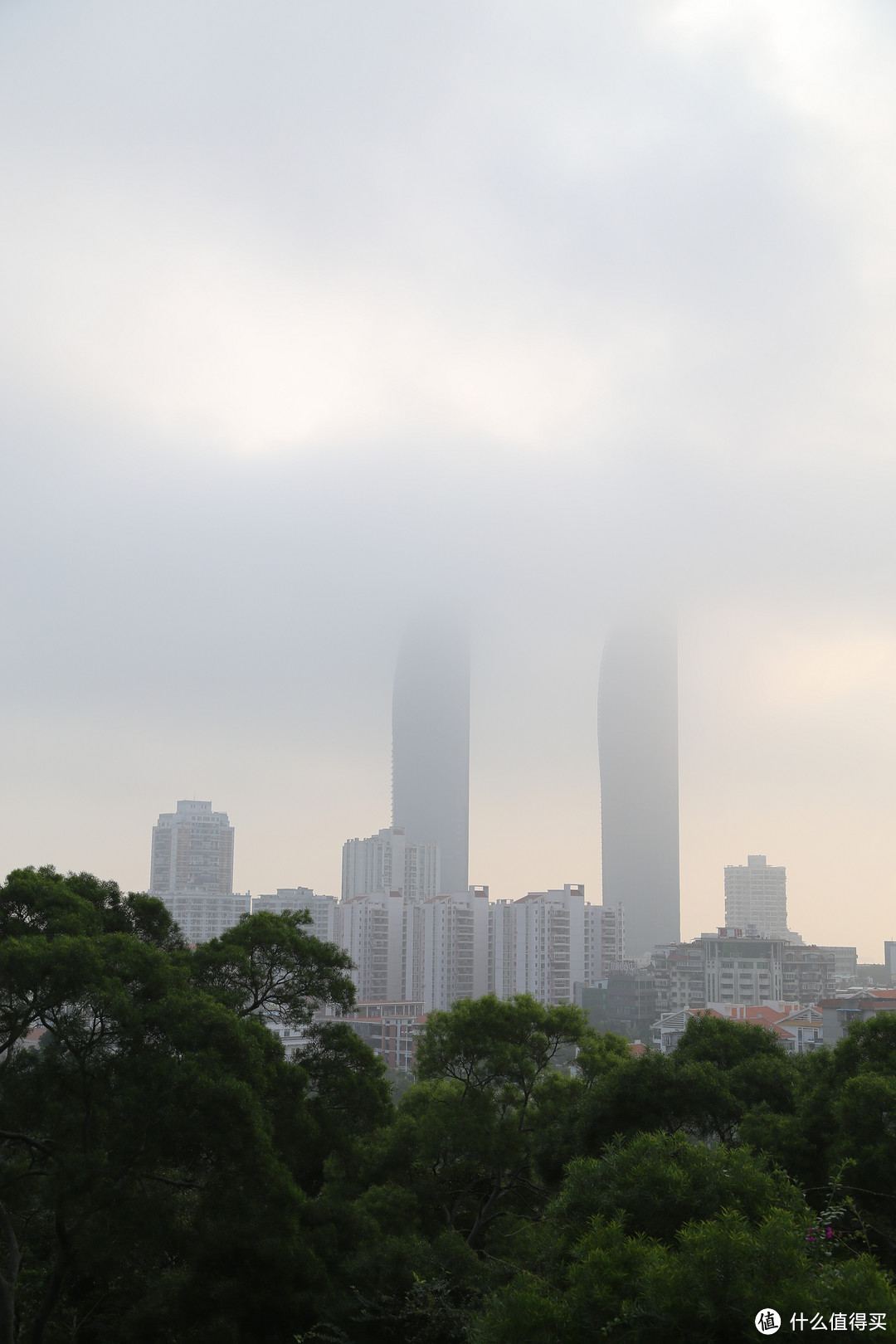 紧张过后的放松：说走就走，厦门+武夷山 10日游