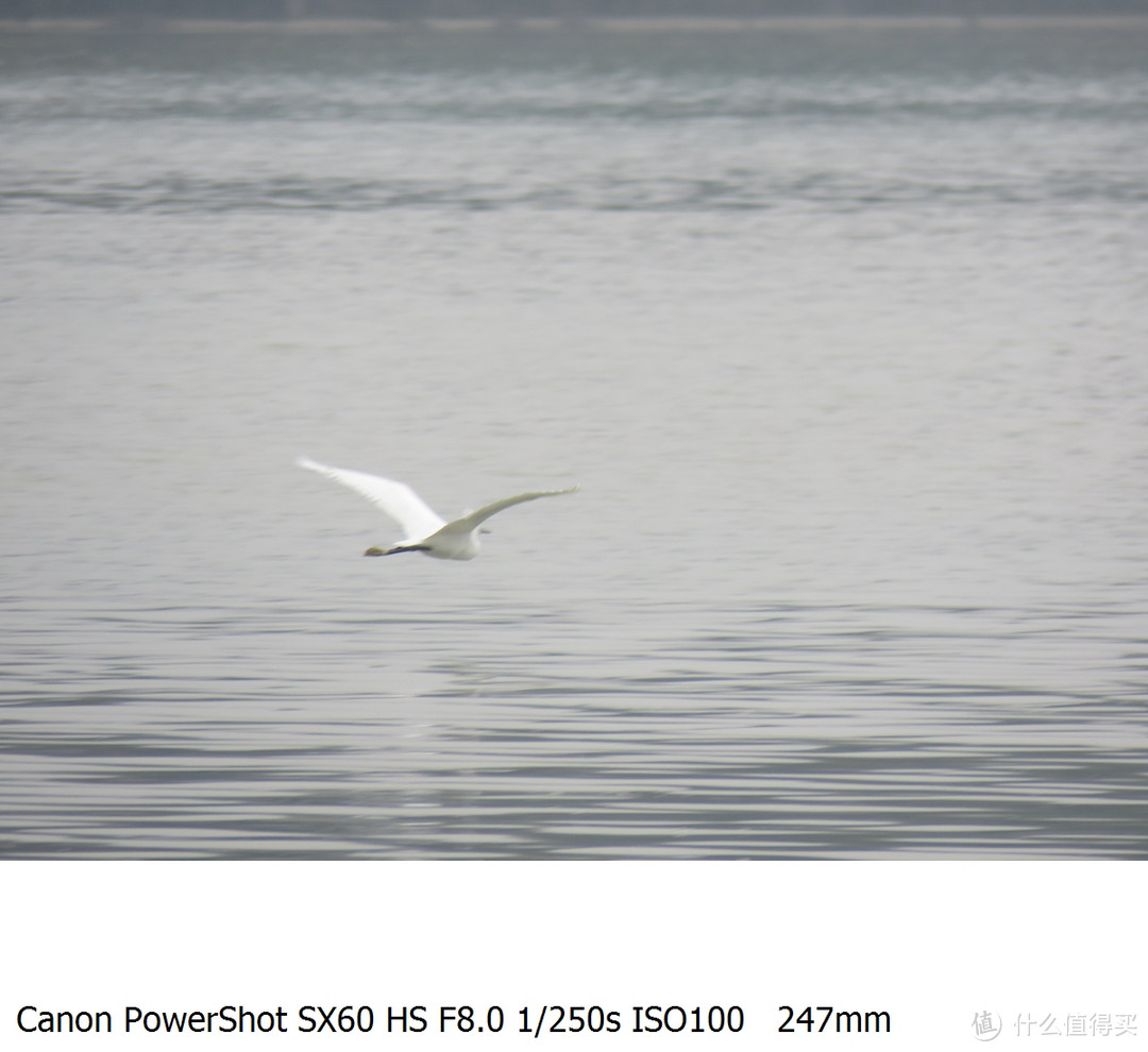 廉价！打鸟打月亮旅游流浪当狗仔神器的绝唱 — Canon 佳能 SX60 HS评测